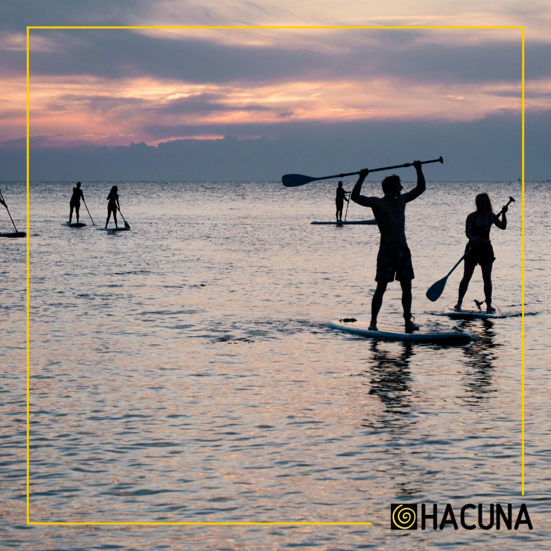 Team-SUP-Race: Taktik & Technik für das ultimative Wasser-Workout